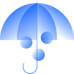 IT Risk Management