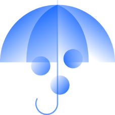 IT Risk Management